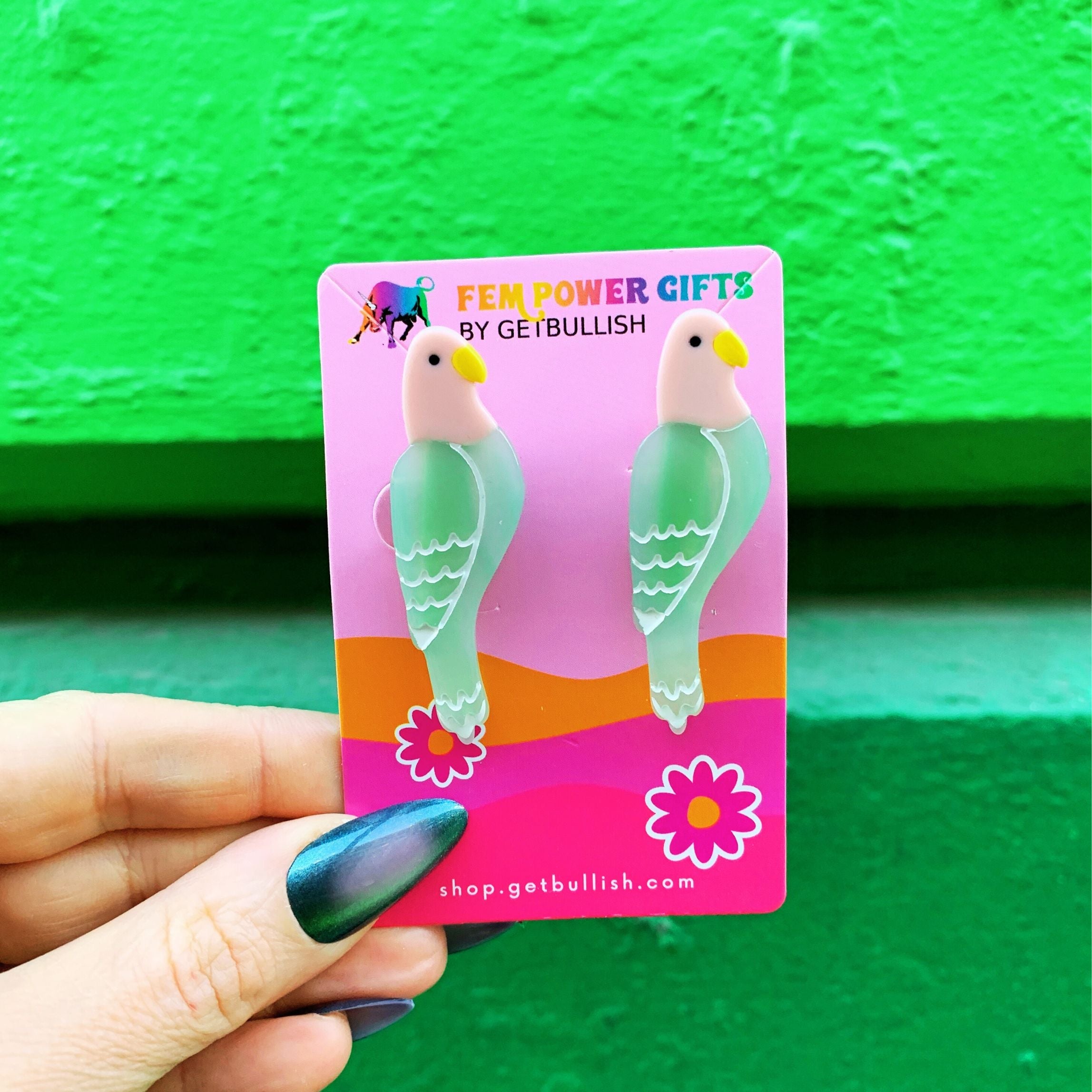 Set of 2 Birdie Barrettes Acetate Hair Clips | Cute Parrot Hair Pins