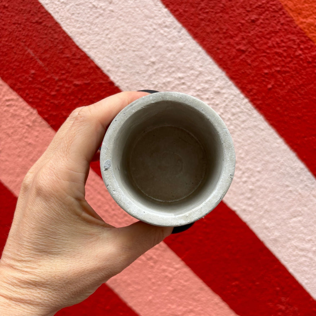 Small Face Pot | Decorative Cement Planter | 3" x 2.5"