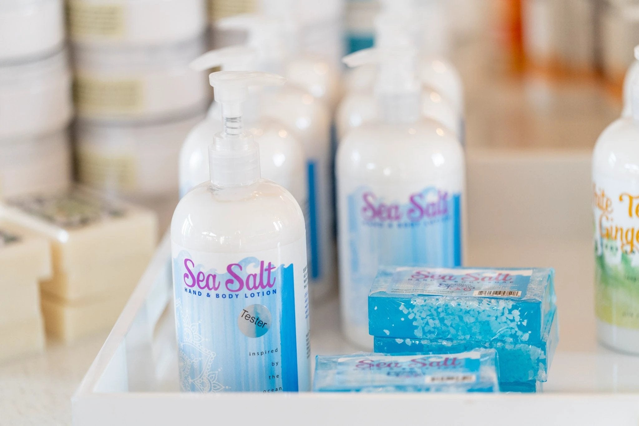 SEA SALT HAND & BODY LOTION 16 oz or 2 oz by Essential Journeys