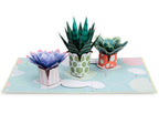 Succulents Pop Up Card by Paper Love
