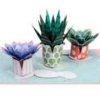 Succulents Pop Up Card by Paper Love