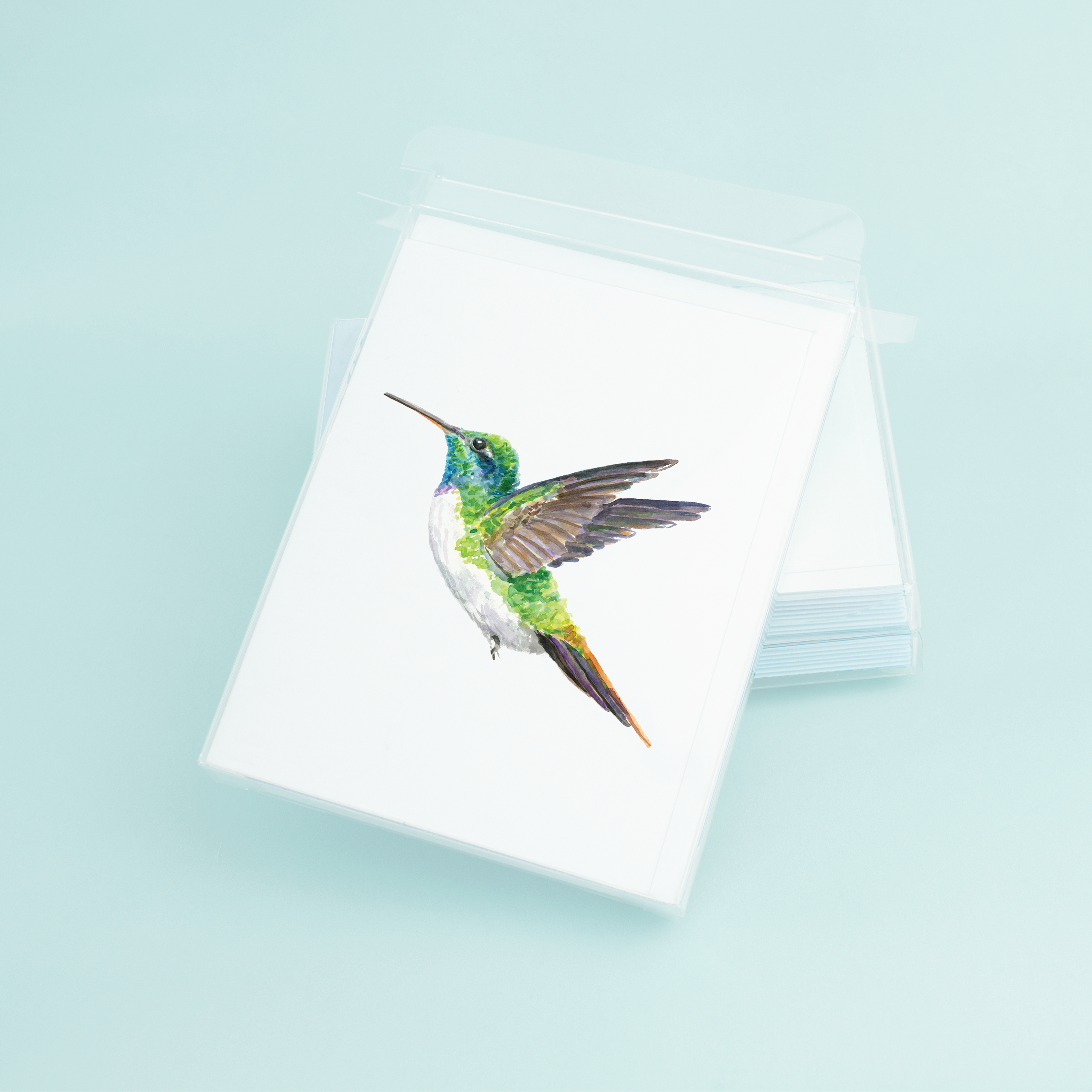 Hummingbird