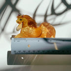 Velvet Claws Golden Horse Hair Claw by The Bullish Store