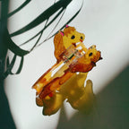 Velvet Claws Golden Horse Hair Claw by The Bullish Store