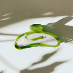Velvet Claws Hair Clip | Green Snake Hair Claw by The Bullish Store