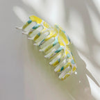 Velvet Claws Hair Clip | The Lobster in Fresh Lemons by The Bullish Store