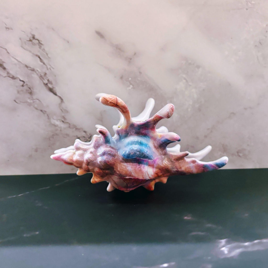 Velvet Claws Realistic Conch Shell Hair Claw in Mermaid Colors