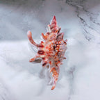 Velvet Claws Realistic Conch Shell Hair Claw in Natural Brown and White