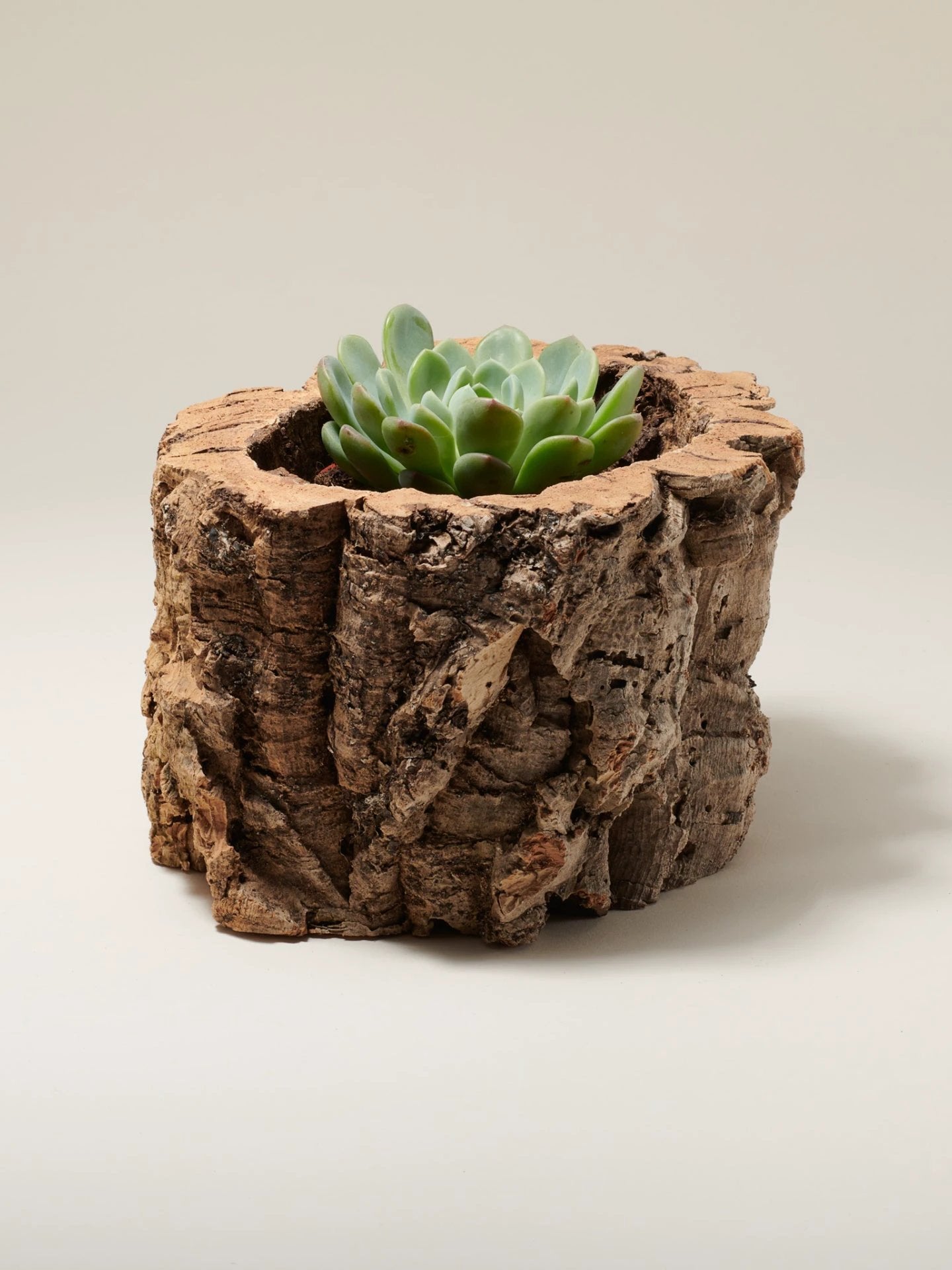 Natural Cork Bark Planter by Tiradia Cork