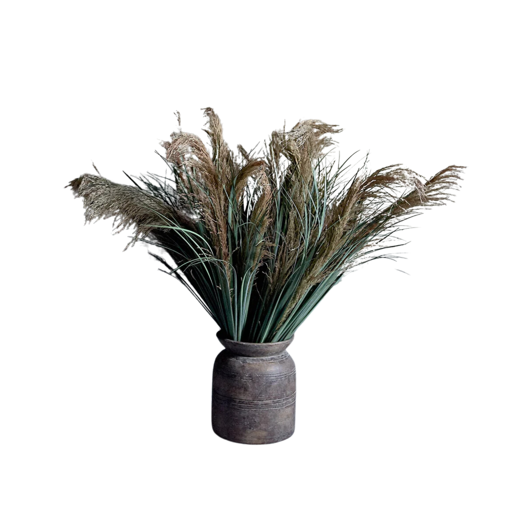 Wild Pampas Grass Stem by Source by Studio Skara