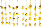 Net, Pom Pom & Gota Lari, Set of 10