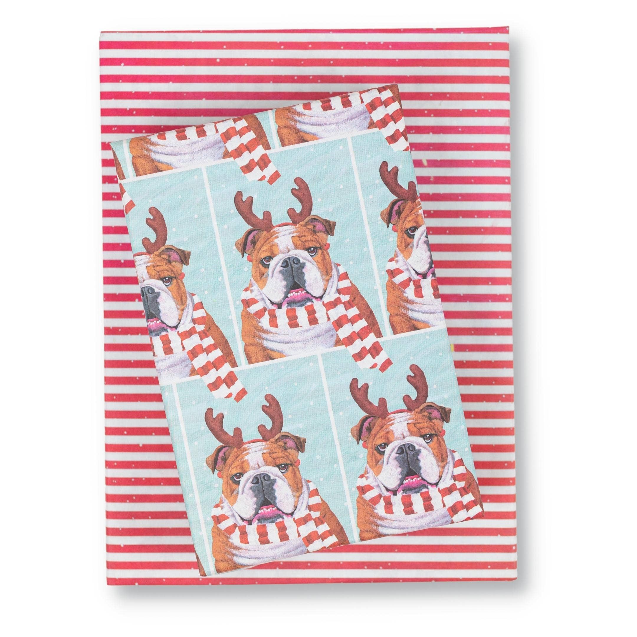 Double-Sided Eco Wrapping Paper – Holiday | Recyclable & Compostable Gift Wrap