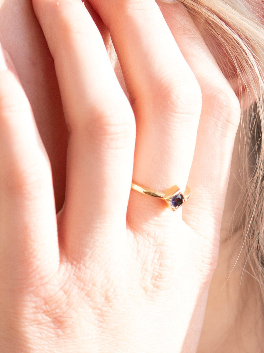 Adjustable Ring - Iolite