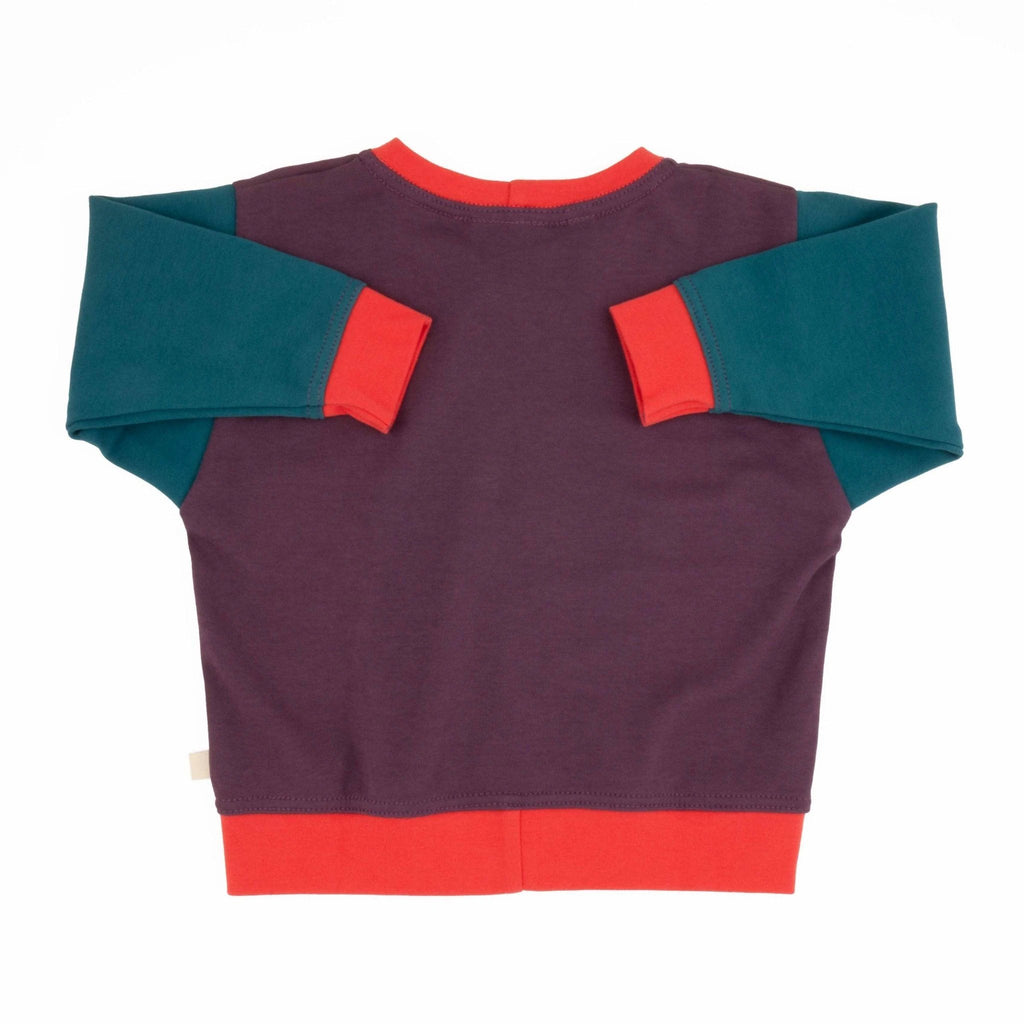 Adult Colorblock Sweatshirt by Peace House Studio