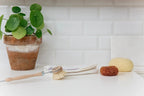 Andr Jardin Sustainable Dish Cleaning Kit in Wooden Box by White Cliff Studio