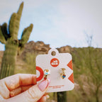 Arizona Desert 3D Huggie Hoop Earrings by Oh Clementine