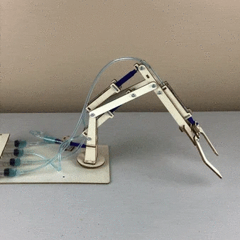 Hydraulic Robotic Arm DIY Kit, Educational STEM Toy by Kitsville
