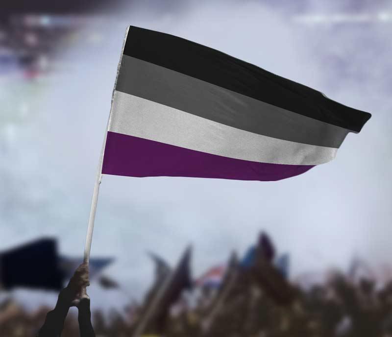 Asexual (Ace) Pride Flag Flag La Vie Bien Asexual (Ace) Pride Flag