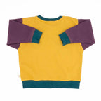 Baby Colorblock Sweatshirt by Peace House Studio