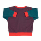 Baby Colorblock Sweatshirt by Peace House Studio