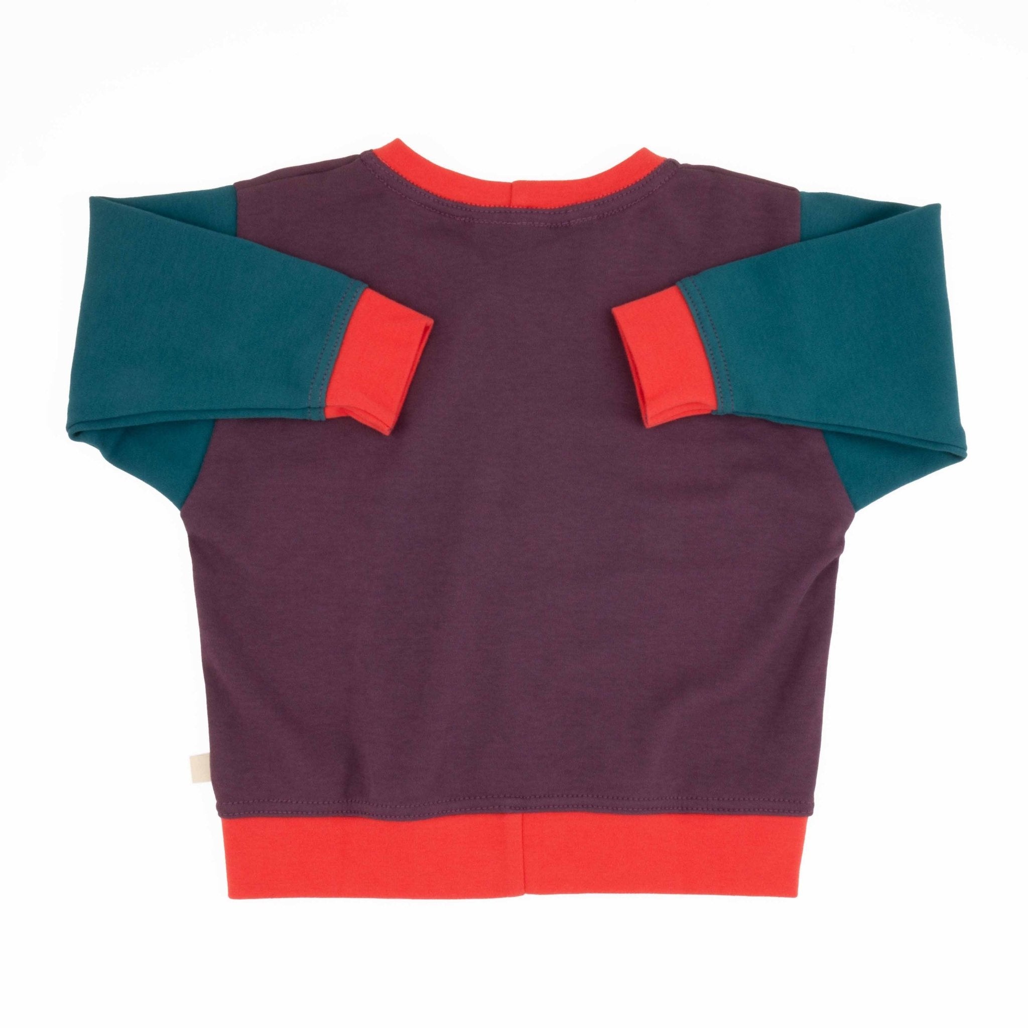 Baby Colorblock Sweatshirt