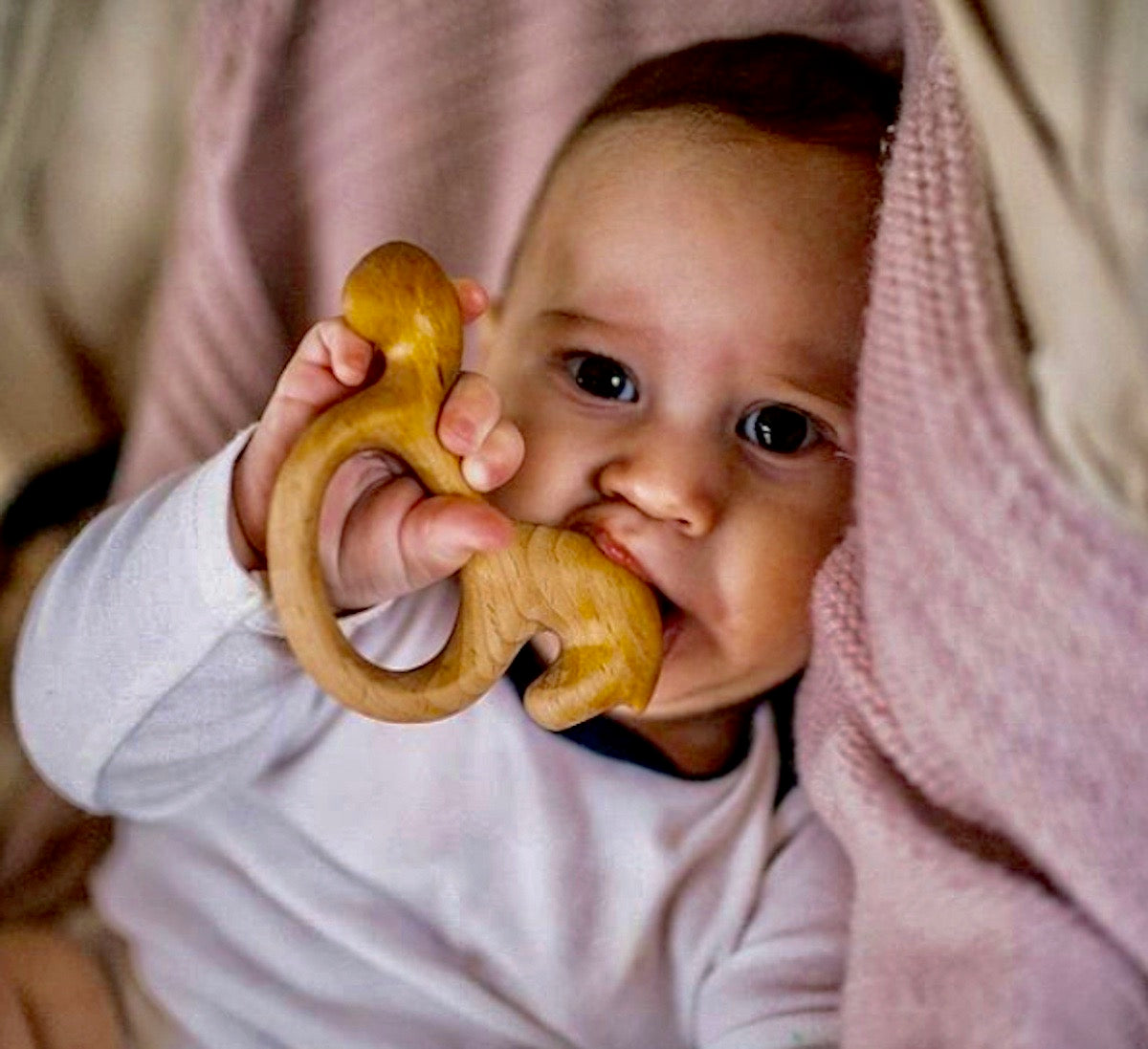 Organic Wooden Rattle-Teether Horse