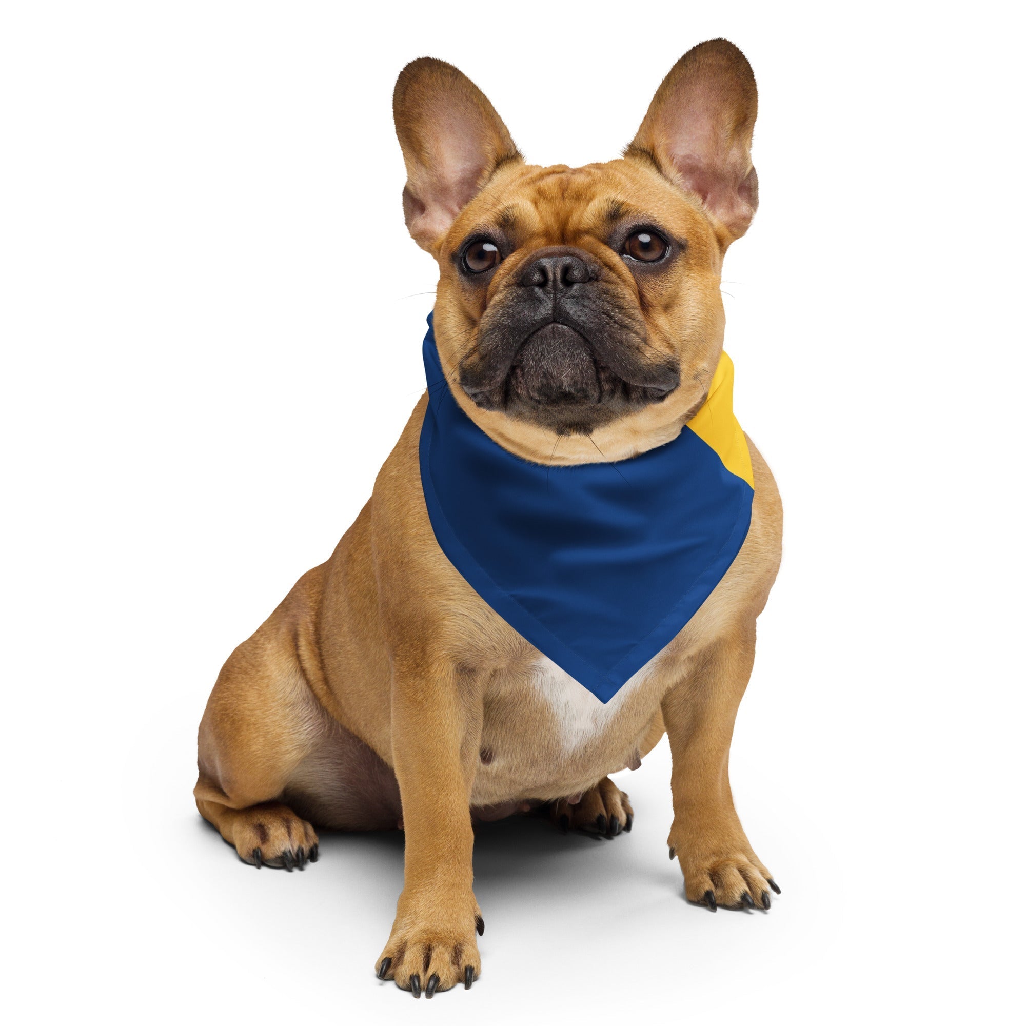 Barbados Flag Bandana All-Over Print Bandana La Vie Bien Barbados Flag Bandana