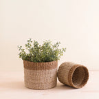 Natural + Brown Tabletop Bins Set of 2 - Wicker Baskets | LIKHÂ by LIKHÂ