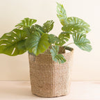 Natural Octagon Basket with Sage Handle - Octagon Basket | LIKHÂ by LIKHÂ