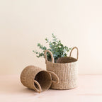 Natural Tabletop Mini Basket with Handle Set of 2 - Weave Baskets | LIKHÂ by LIKHÂ