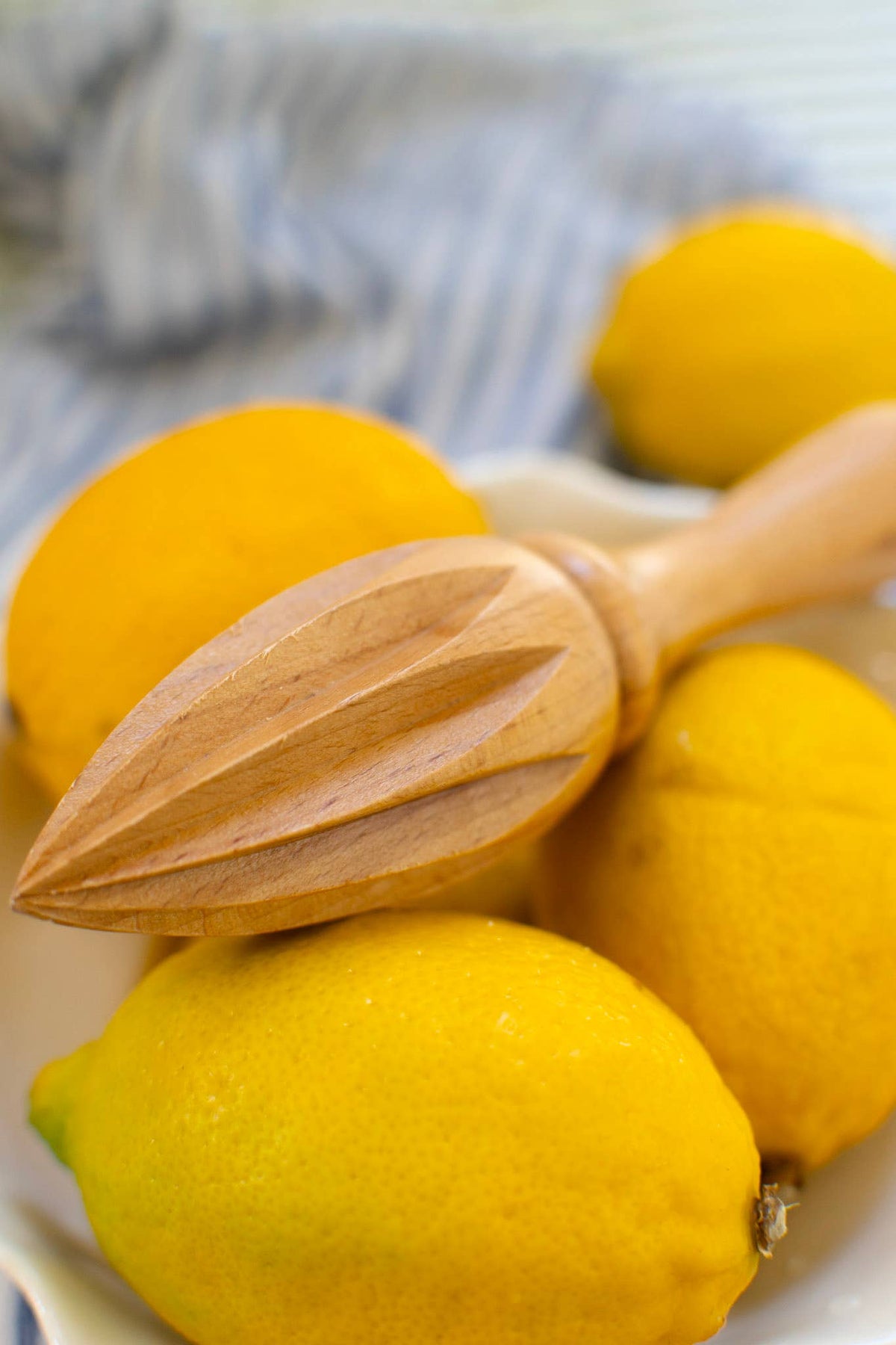 Beech Wood Citrus Juicer | Plastic-Free Manual Juicer | Compostable Kitchen Tool La Vie Bien Beech Wood Citrus Juicer | Plastic-Free Manual Juicer | Compostable Kitchen Tool