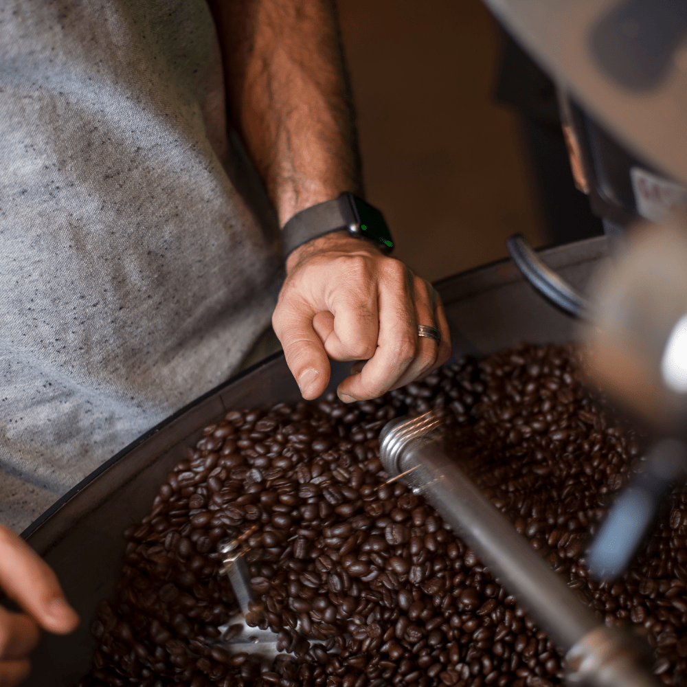 Bella Finca Coffee La Vie Bien Bella Finca