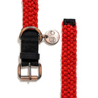BetterCollar - 100% Fairtrade Recycled Ocean Bound Plastic D Pet La Vie Bien BetterCollar - 100% Fairtrade Recycled Ocean Bound Plastic D