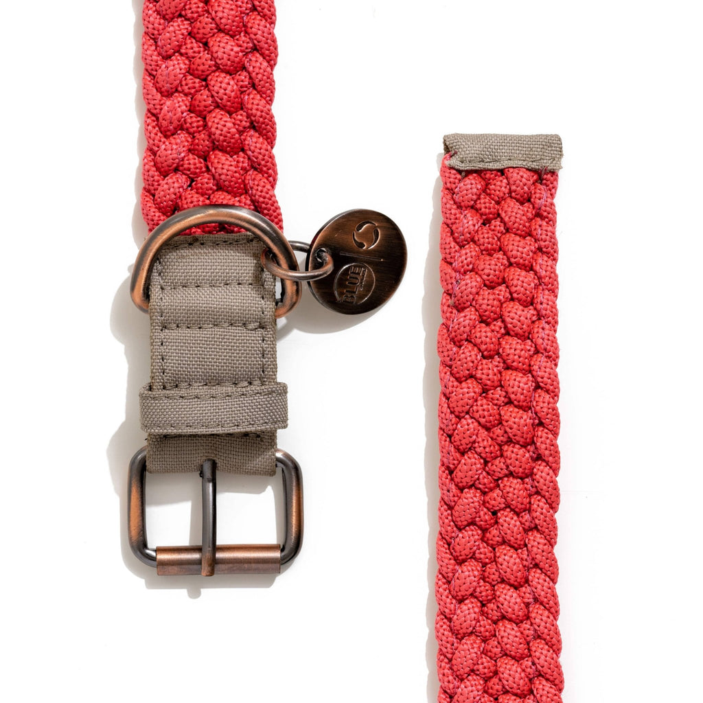 BetterCollar - 100% Fairtrade Recycled Ocean Bound Plastic D Pet La Vie Bien BetterCollar - 100% Fairtrade Recycled Ocean Bound Plastic D