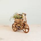 Bicycle Rattan Planter, medium - Handmade Planters | LIKHÂ by LIKHÂ