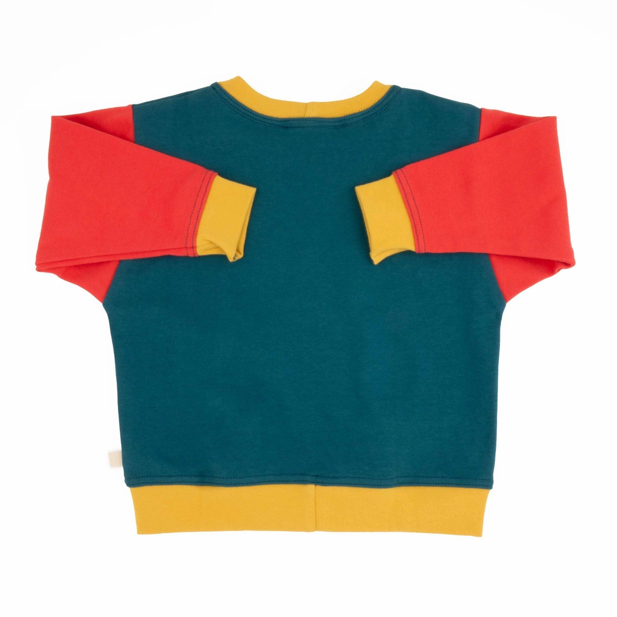 Big Kid Colorblock Sweatshirt by Peace House Studio