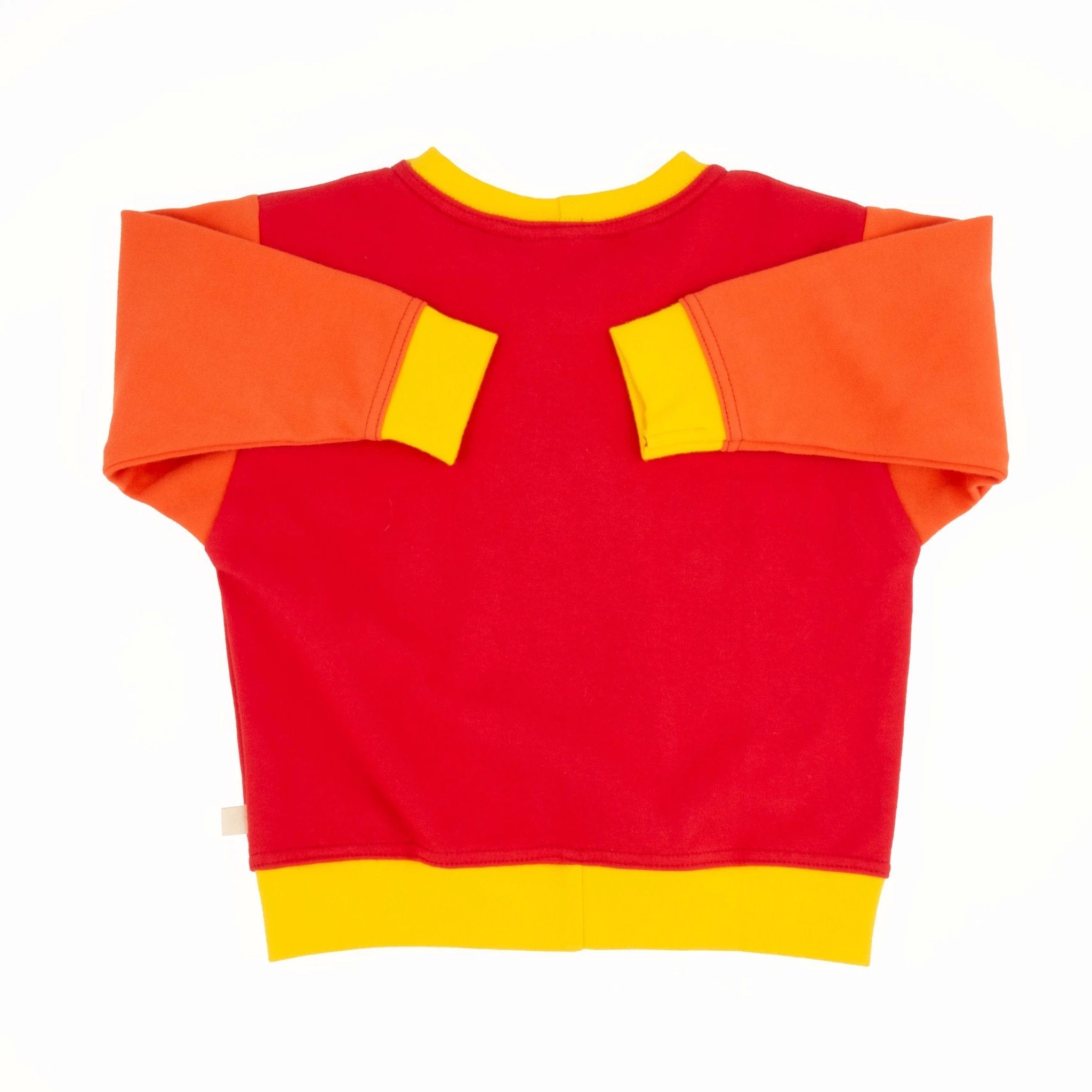 Big Kid Colorblock Sweatshirt by Peace House Studio