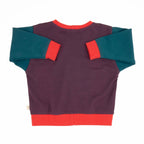 Big Kid Colorblock Sweatshirt by Peace House Studio