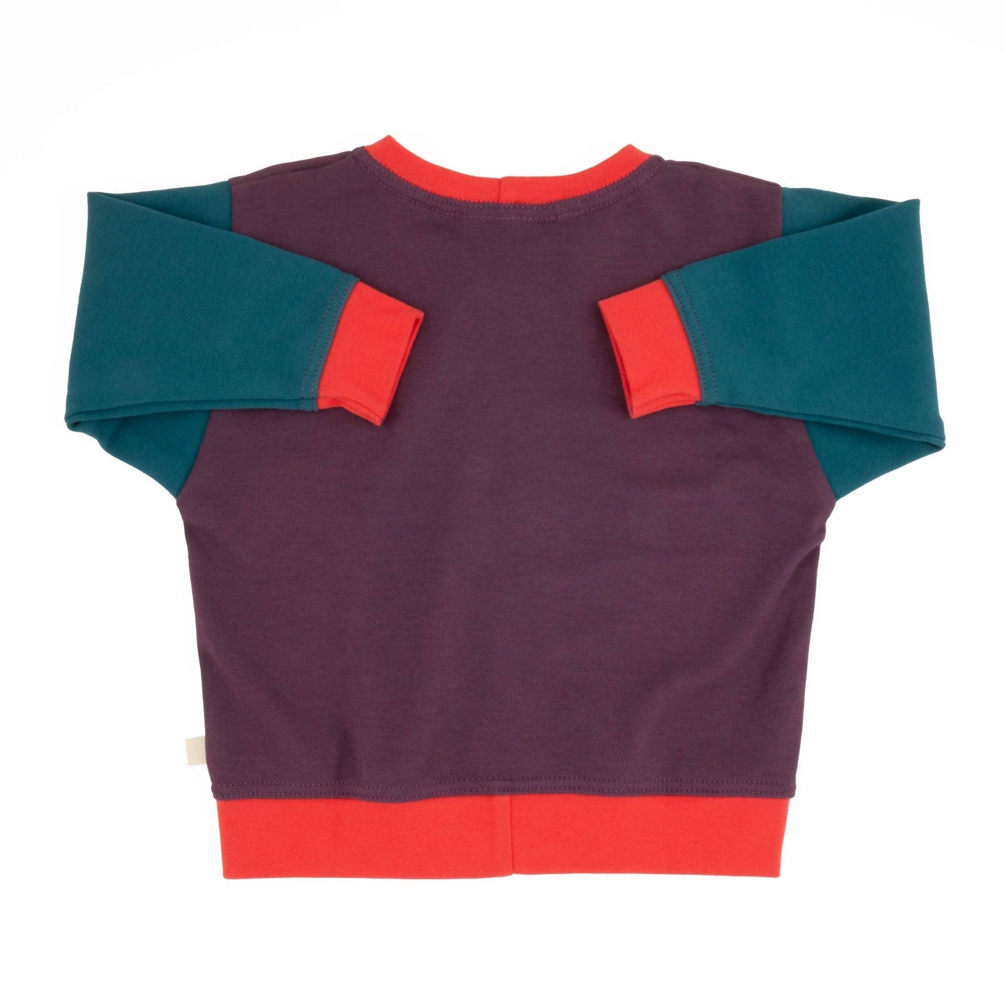 Big Kid Colorblock Sweatshirt by Peace House Studio
