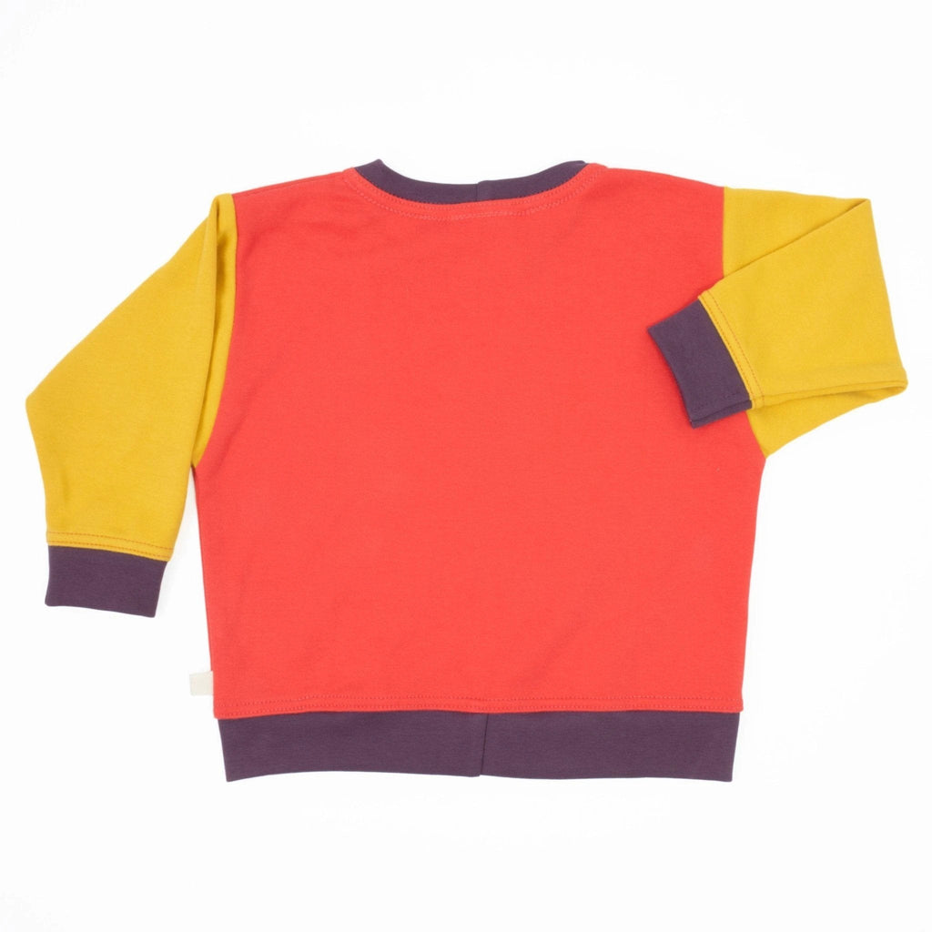 Big Kid Colorblock Sweatshirt by Peace House Studio