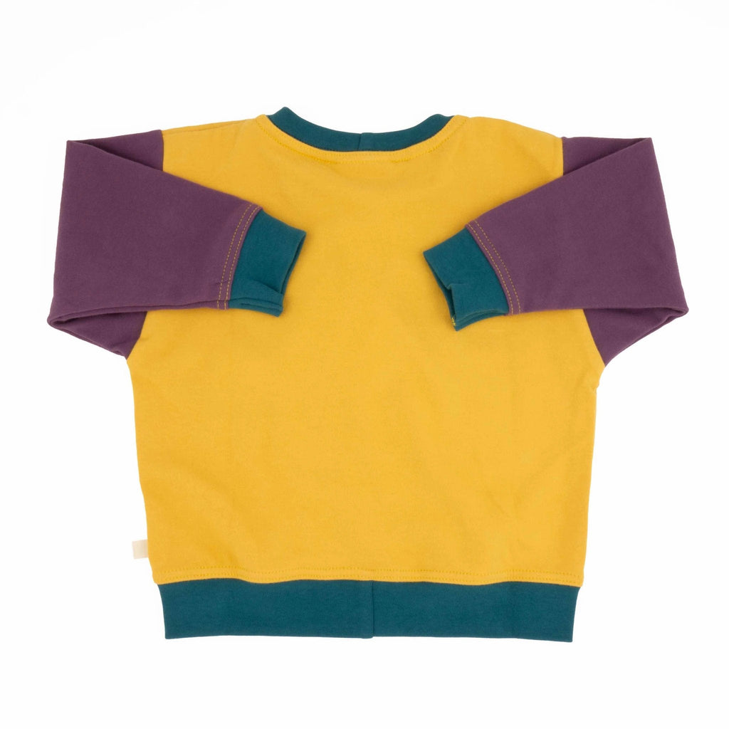 Big Kid Colorblock Sweatshirt by Peace House Studio