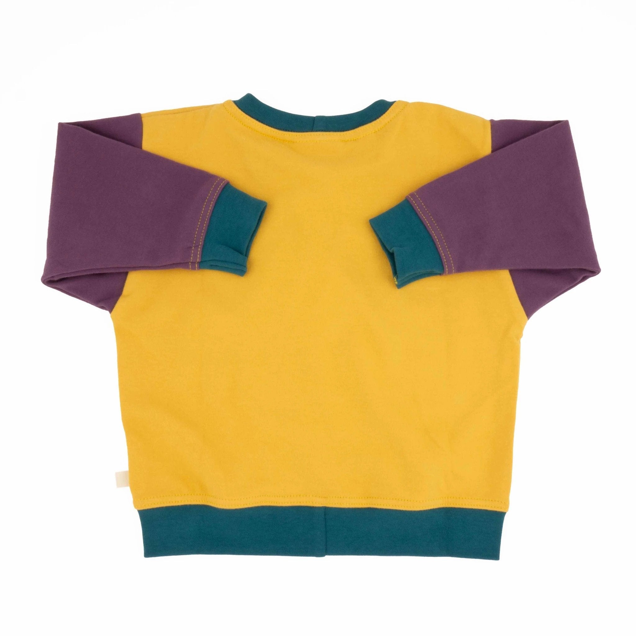 Big Kid Colorblock Sweatshirt by Peace House Studio