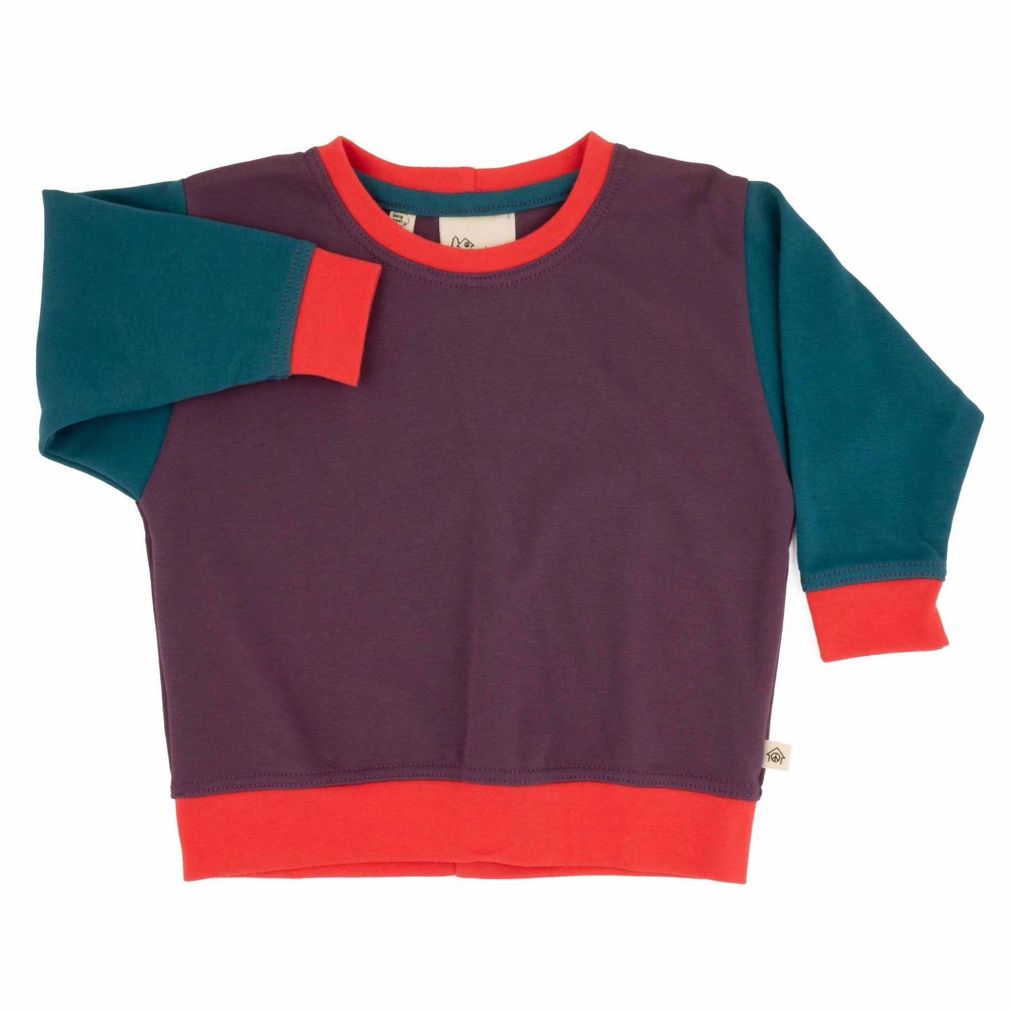 Big Kid Colorblock Sweatshirt by Peace House Studio