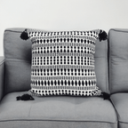 Black 22" X 22" Throw Pillow for couch with Tassels-Winter Throw Pillow La Vie Bien Black 22" X 22" Throw Pillow for couch with Tassels-Winter
