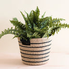 Black + Natural Striped Tapered Basket - Modern Baskets | LIKHÂ by LIKHÂ