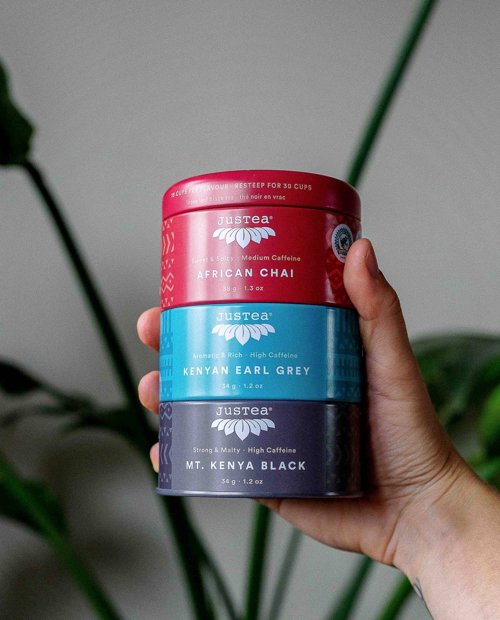 Black Tea Trio Tin & Spoon - Organic, Fair-Trade Tea Gift by Ethical Trade Co
