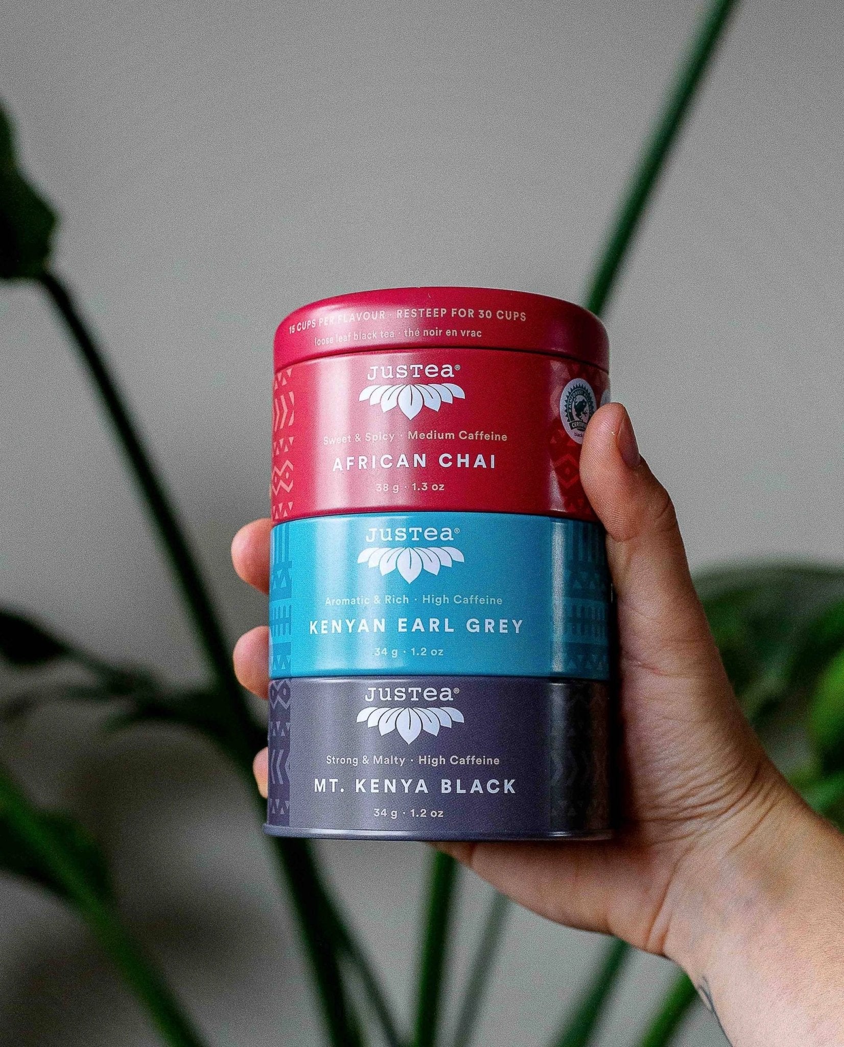 Black Tea Trio Tin & Spoon - Organic, Fair-Trade Tea Gift by Ethical Trade Co