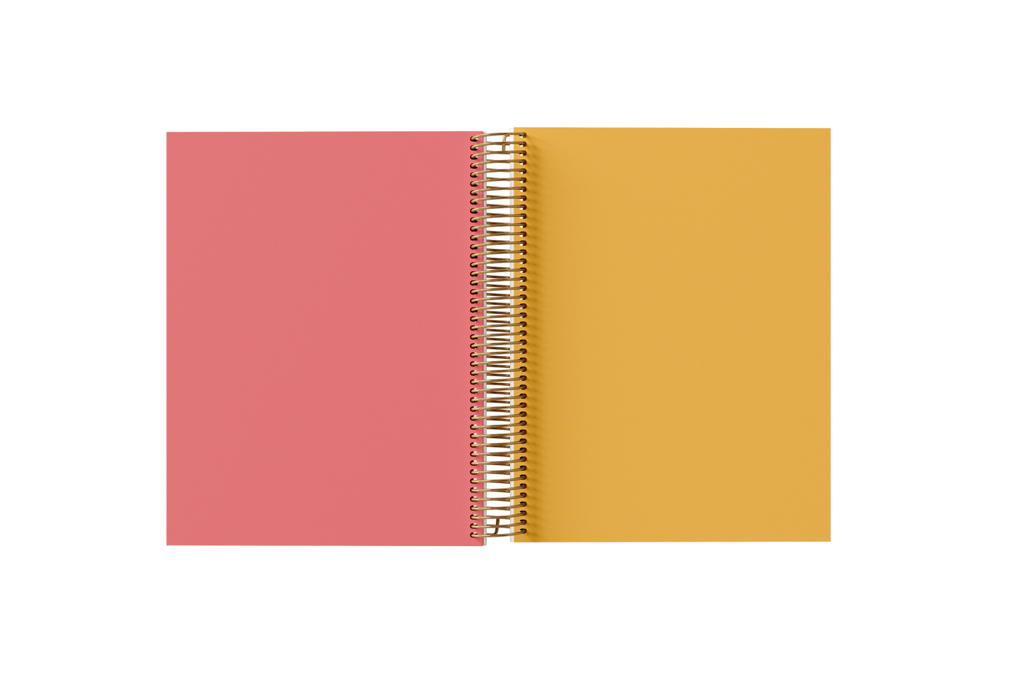 Blank Paper Holographic Notebook by BERTEAU & Co.