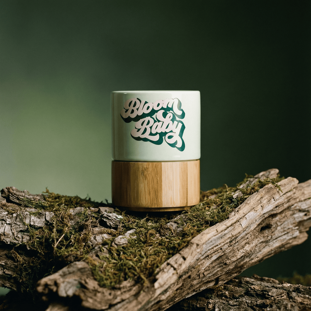 Bloom Baby Petite Ceramic Mug with Bamboo Base by The Bullish Store