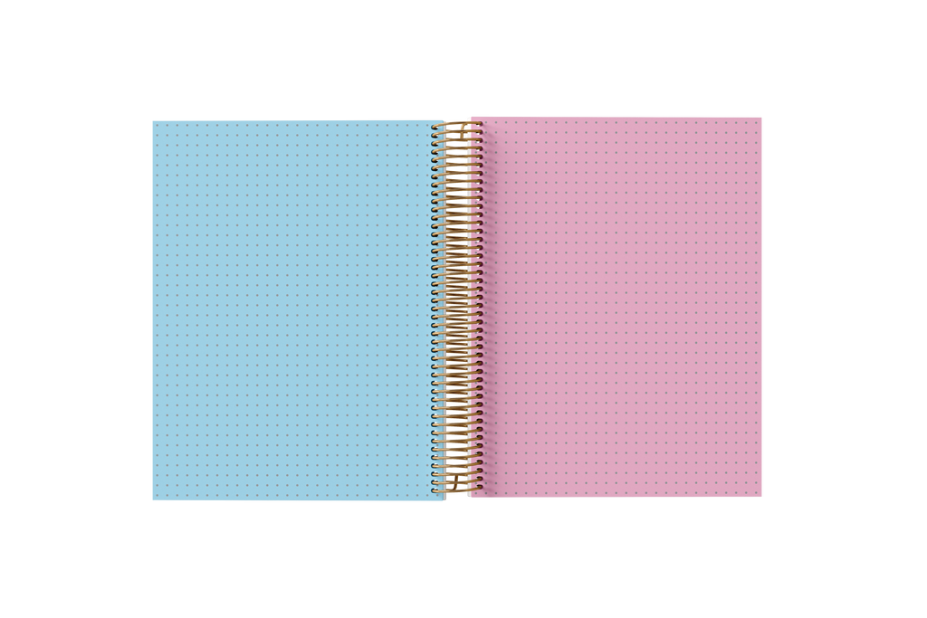 DOTTED Grid Paper Holographic Notebook by BERTEAU & Co.